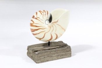 Science/Nature, Shell, SPIRAL SHELL ON BROWN WOOD BASE, WOOD, OFFWHITE
