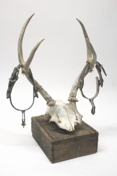 Decorative, Misc, ANTLERS W/SPURS ATTACHED, REAL, WESTERN, COWBOY, RODEO, RUSTIC, COUNTRY, MOUNTED TO WOOD BOX, HOMEMADE, FREESTANDING, ANTLER, NATURAL