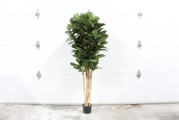 Plant, Fake, FAKE FIDDLE LEAF FIG TREE, APPROX 6FT, PLASTIC, GREEN