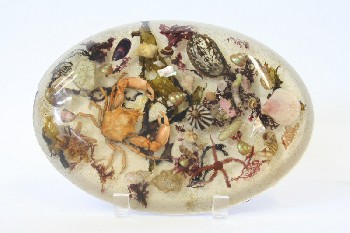 Decorative, Paperweight, OVAL, CRAB/SHELLS/SEAWEED/GOLD GLITTER, SEA, OCEAN, PLASTIC, MULTI-COLORED