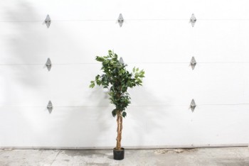 Plant, Fake, FICUS, APPROX 4FT, PLASTIC, GREEN