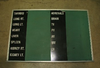 Board, Chalkboard, AUTOPSY / MORGUE / CORONER, NAMES OF BODY PARTS, METAL, GREEN