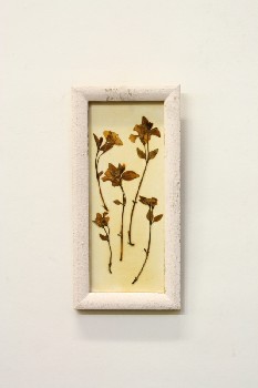 Wall Dec, Misc, CLEARABLE, DRIED PRESSED FLOWERS IN RECTANGULAR WHITE FRAME, WOOD, MULTI-COLORED