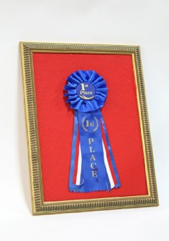 Wall Dec, Award, CLEARABLE, FRAMED BLUE RIBBON / AWARD, RED FELT BACKGROUND, FIRST / 1ST PLACE, BROWN FRAME, RED