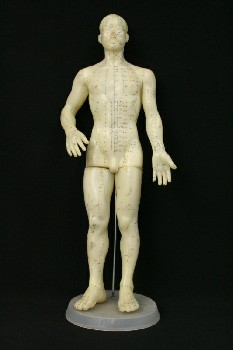 Medical, Model, ACUPUNCTURE MODEL, MAN, ON PLASTIC BASE, RUBBER, OFFWHITE