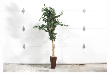 Plant, Fake, FAKE FICUS TREE, APPROX 6FT, BAMBOO PLANTER, PLASTIC, GREEN