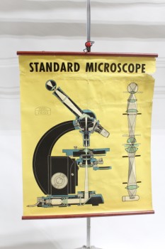 Science/Nature, Poster, VINTAGE LAB / CLASSROOM POSTER, "STANDARD MICROSCOPE" DIAGRAM CHART, "CARL ZEISS", AGED, PAPER, MULTI-COLORED