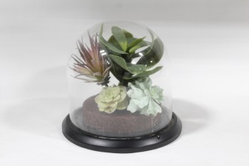 Decorative, Cloche, ASSORTMENT OF FAKE SUCCULENTS UNDER CLOCHE, ROUNDED CLEAR DOME/DISPLAY COVER & ROUND BLACK BASE, BELL JAR, PLASTIC, CLEAR