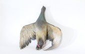 Meat, Animal (Fake), SINGLE FAKE REALISTIC BIRD, DEAD PIGEON, ANIMAL CARCASS, WINGS OUT (ALL 13-15" WING SPAN), RUBBER, GREY